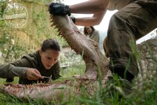 Annihilation Movie Photo 485539