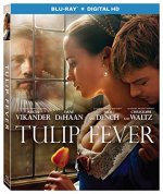 Tulip Fever Movie photos