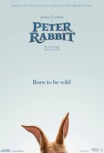 Peter Rabbit Movie posters