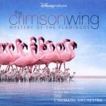 The Crimson Wing: Mystery of the Flamingos Movie photos