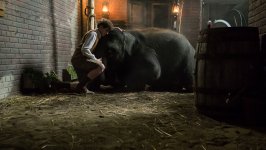 Zoo Movie photos