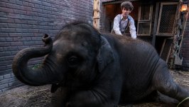 Zoo Movie photos