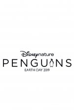 Penguins Movie photos