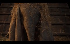 Dumbo Movie photos