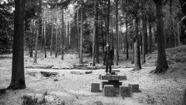 The Forest of the Lost Souls Movie photos