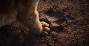 The Lion King Movie photos