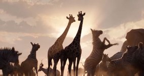 The Lion King Movie photos