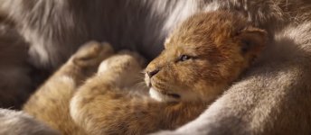 The Lion King Movie photos