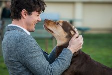 A Dog's Way Home Movie photos