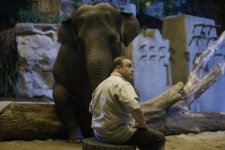 Zookeeper Movie photos