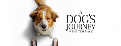 A Dog's Journey Movie Photo 505254