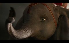 Dumbo Movie Photo 506326