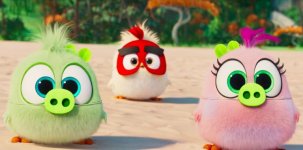 The Angry Birds Movie 2 Movie photos