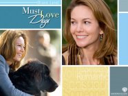 Must Love Dogs Movie photos