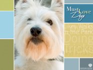 Must Love Dogs Movie photos