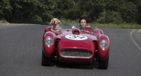 The Art of Racing in the Rain Movie photos