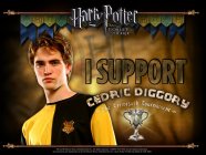 Harry Potter and the Goblet of Fire Movie photos