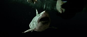 47 Meters Down: Uncaged Movie photos