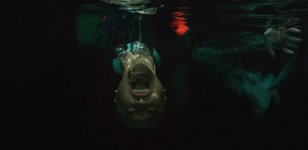 47 Meters Down: Uncaged Movie photos