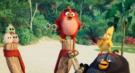 The Angry Birds Movie 2 Movie photos