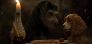 Lady and the Tramp Movie photos