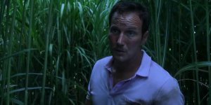 In The Tall Grass Movie photos