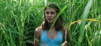 In The Tall Grass Movie photos