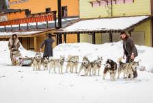 The Great Alaskan Race Movie photos