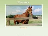 Dreamer: Inspired by a True Story Movie photos