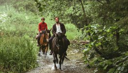 Out Stealing Horses Movie photos