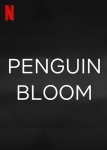 Penguin Bloom Movie photos