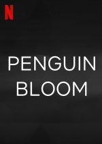 Penguin Bloom Movie posters