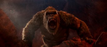 Godzilla vs. Kong Movie Photo 585227