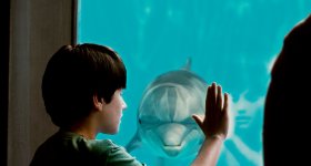 Dolphin Tale Movie photos