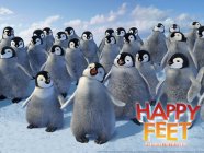 Happy Feet Movie photos