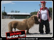 Jackass Number Two Movie photos