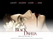 The Black Dahlia Movie photos