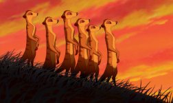 The Lion King Movie Photo 62017