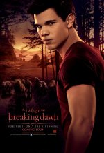 The Twilight Saga: Breaking Dawn Part 1 Movie posters