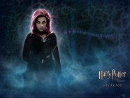 Harry Potter and the Order of the Phoenix Movie photos