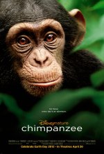 Chimpanzee Movie posters