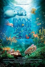 Under the Sea 3D Movie photos