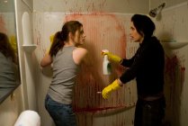 Sunshine Cleaning Movie photos