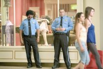 Observe and Report Movie Photo 7038