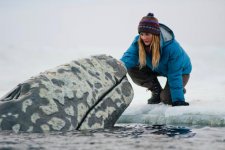 Big Miracle Movie photos