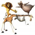 Madagascar 3: Europe's Most Wanted Movie photos