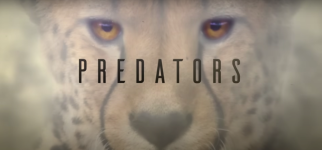 Predators (series) Movie Photo 727411