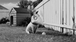 Frankenweenie Movie photos