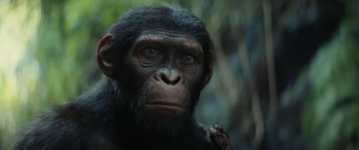 Kingdom of the Planet of the Apes Movie photos