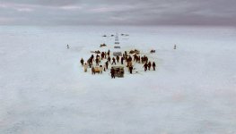 Big Miracle Movie photos